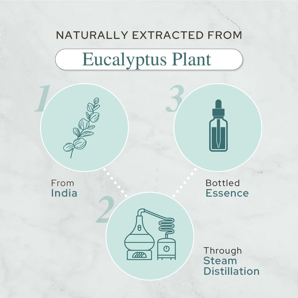 Eucalyptus Essential Oil 30ml