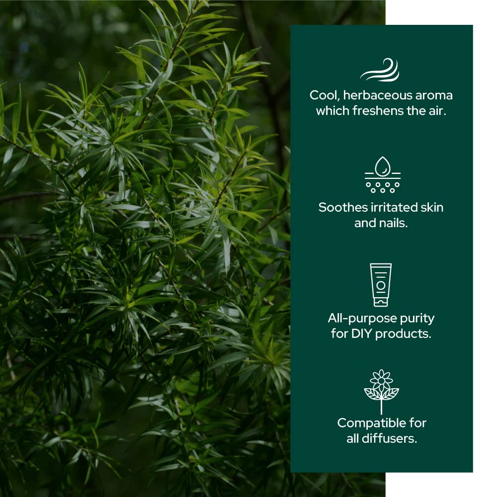 Tea Tree Essential Oil 30ml